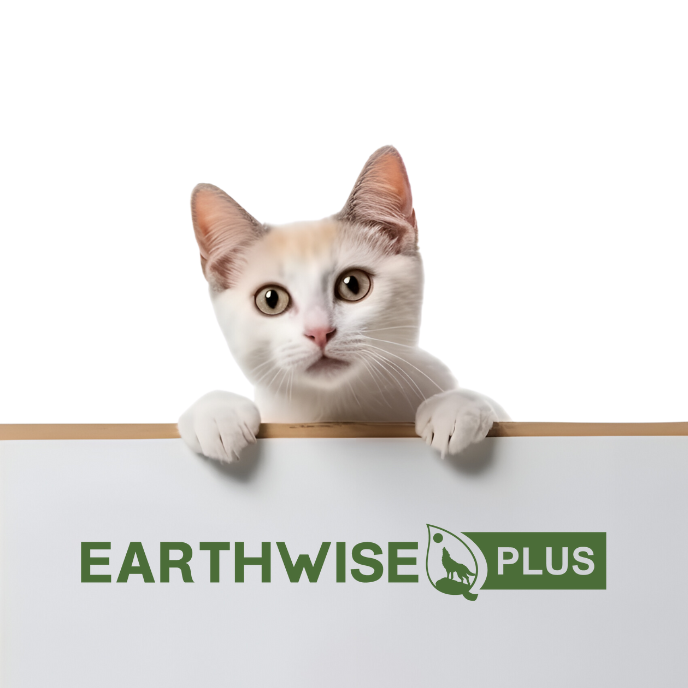 A kitten looking over a sign that says EarthWise Plus